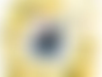 EROS BIONDINI PERMANECE NA CORRIDA POR UMA VAGA DE SENADOR; ATÉ AGORA, SÃO 14 PRÉ-CANDIDATOS