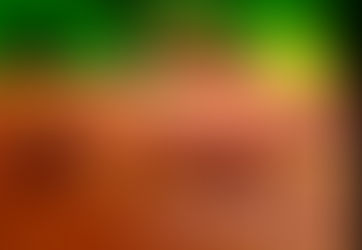 NANUQUE FECHOU ABRIL COM QUASE 1.000 CASOS DE DENGUE E 157 DE CHIKUNGUNYA