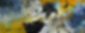 GardeninSunlight-1.jpg