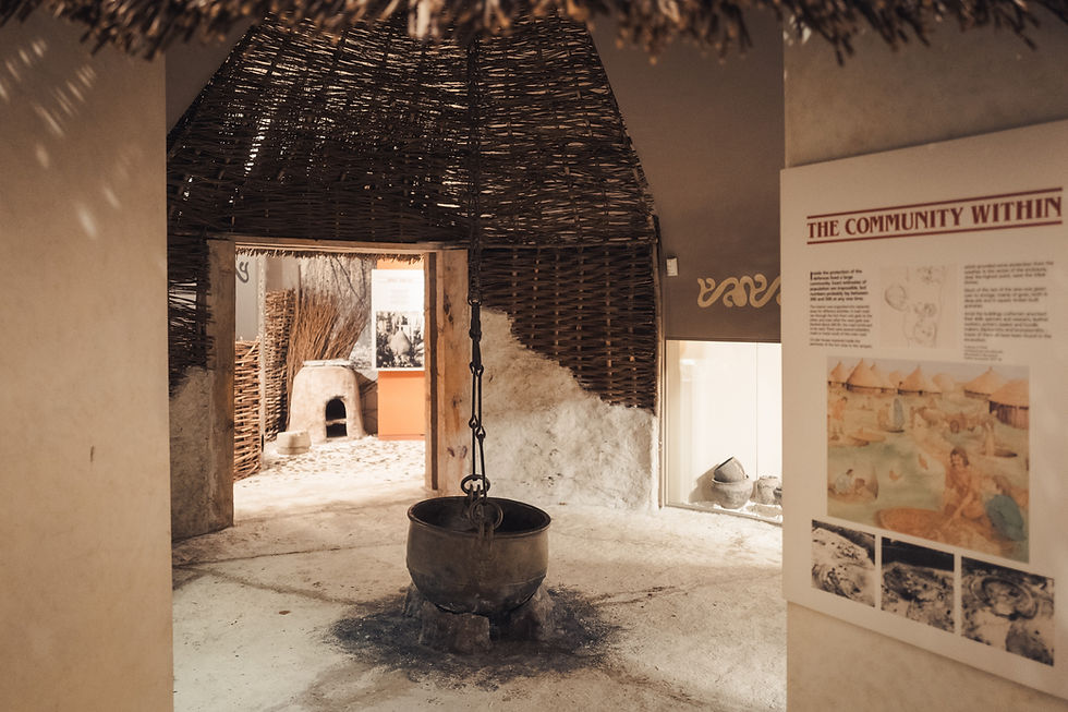 Andover Museum of Iron Age
