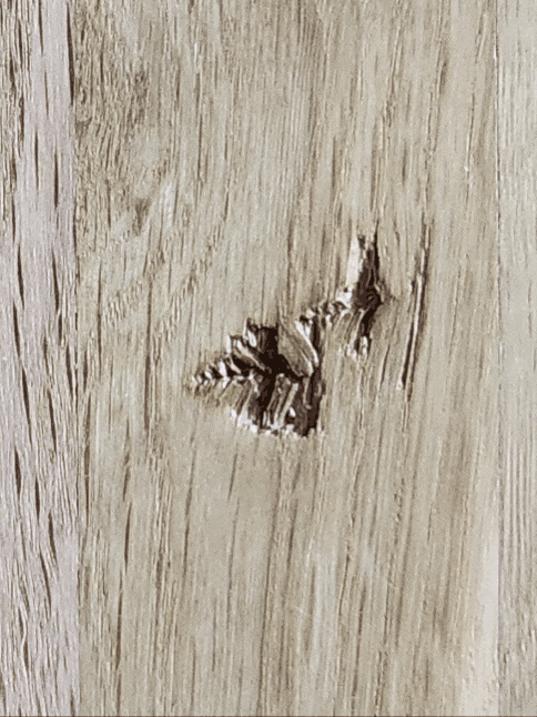 GIF_20260504_170205_402.gif