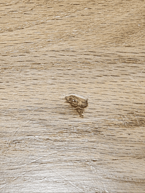 GIF_20260503_191907_720.gif