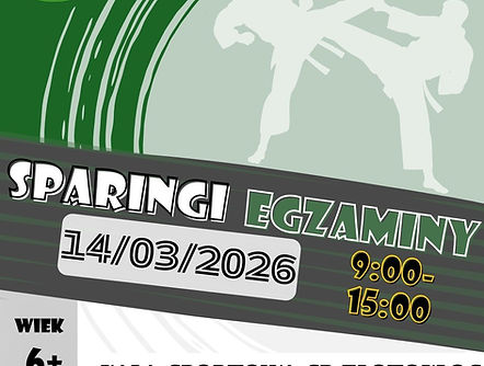 Przeczytaj dlaczego warto wziąć udział w sparingach i zapisz swoje dziecko na nadchodzące wydarzenie!