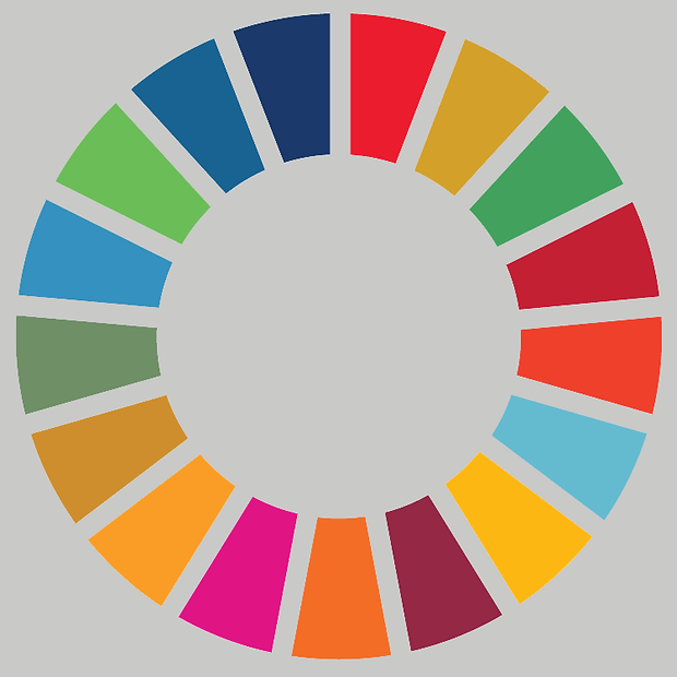 SDG's-01-3.gif
