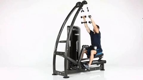 Bio-Arc-Lat-Pulldown.gif