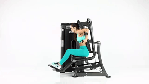 Bio-Arc-Triceps-Dip.gif