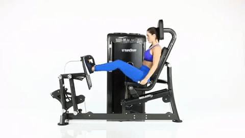 Bio-Arc-Leg-Press.gif
