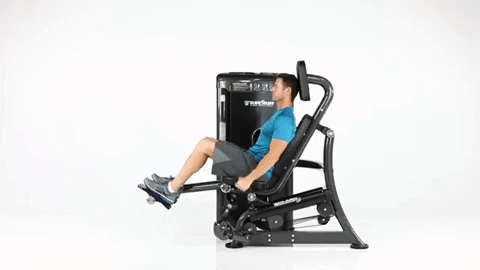 Bio-Arc-Biceps-Curl.gif