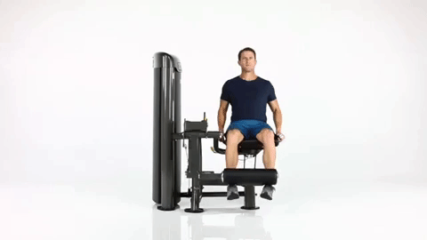 Bio-Arc-Leg-Extension.gif