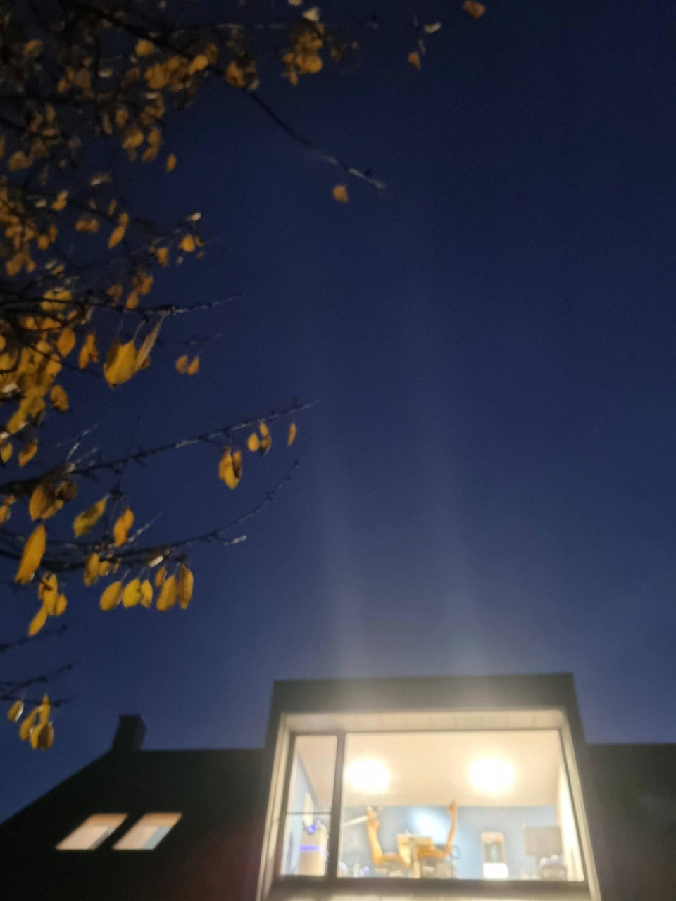 Manuel Jean-Paul Lepage - Praxis GUNVALD