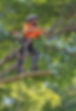 IMG_1378.JPEG