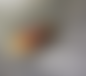 From Stowaway to Local Pest: American Cockroaches in Ventura County & Santa Barbara