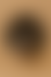 A rat peeking through a hole in a box