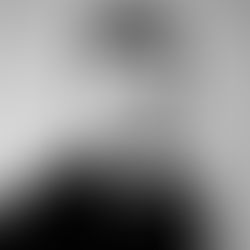 MDN's Management Team