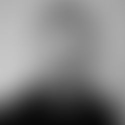 MDN's Management Team