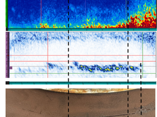 Phased array ultrasonic testing (PAUT) and total focusing method (TFM) inspection of boiler tube welds showing high-resolution imaging of weld integrity and internal corrosion in flow areas.