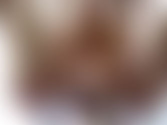 Bridge Pin Non-destructive Testing