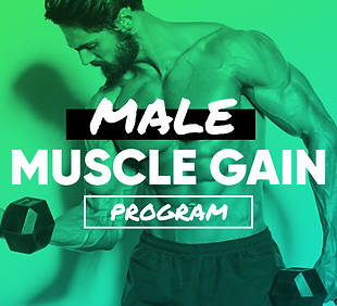 MaleMuscleGain.png