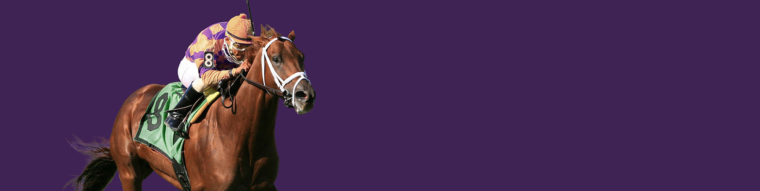 winners-breeders-cup-buffet-home-bg.jpg