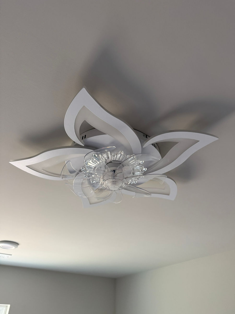 fancy light installed