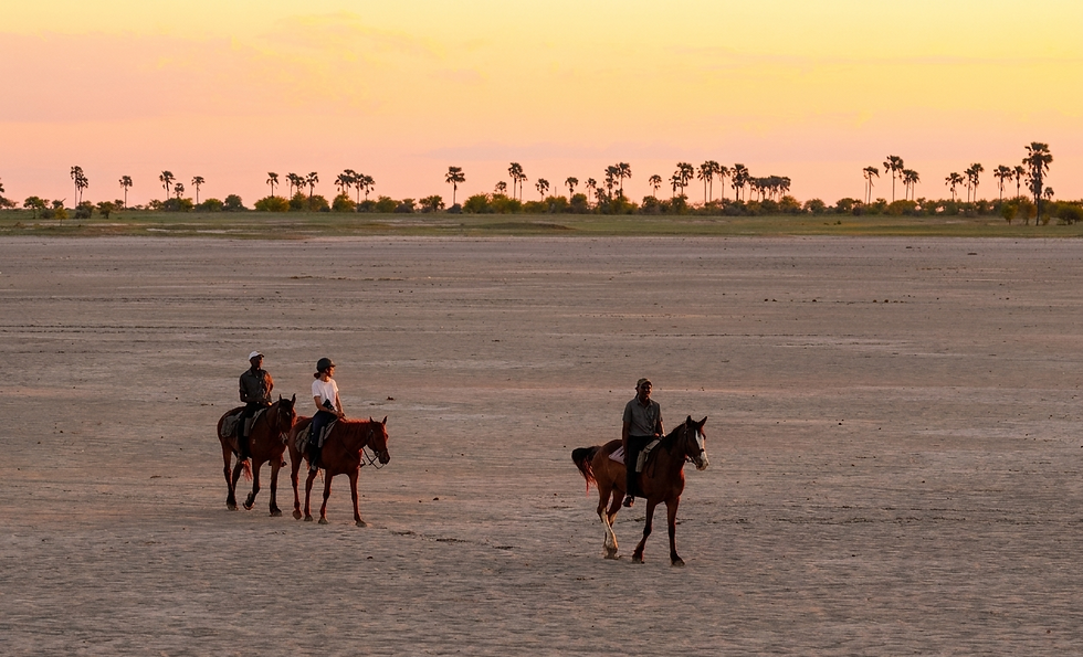 botswana-horse-riding-safari-sustainability