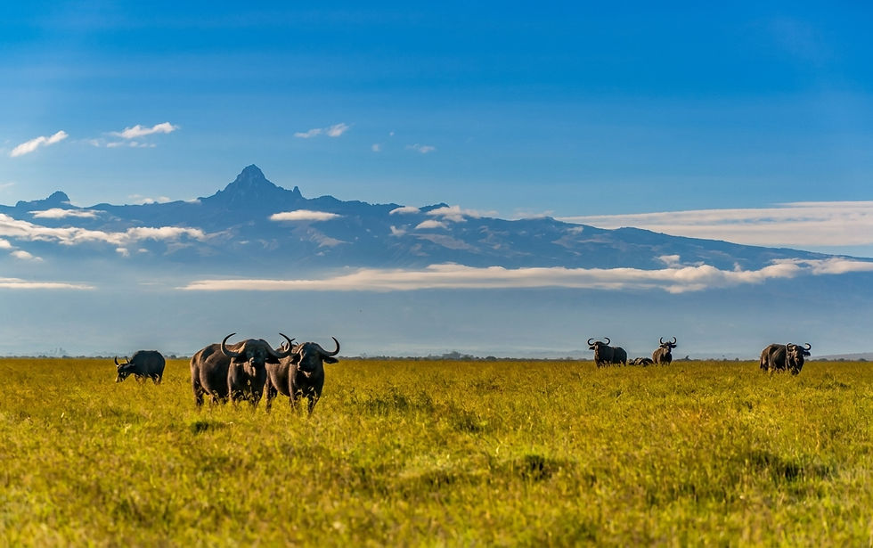kenya-mount-meru-unesco-safari.jpg