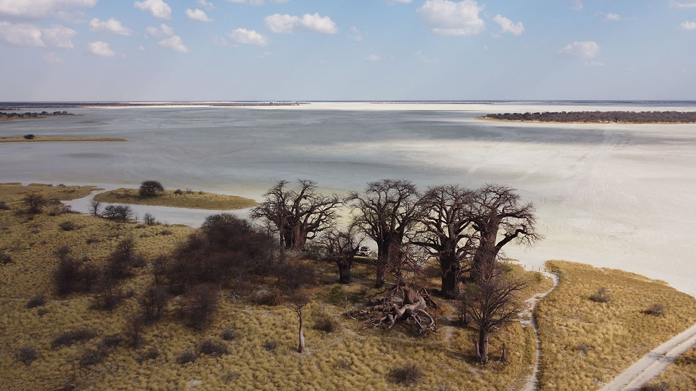 botswana-nxai-salt-pans-baines-baobab