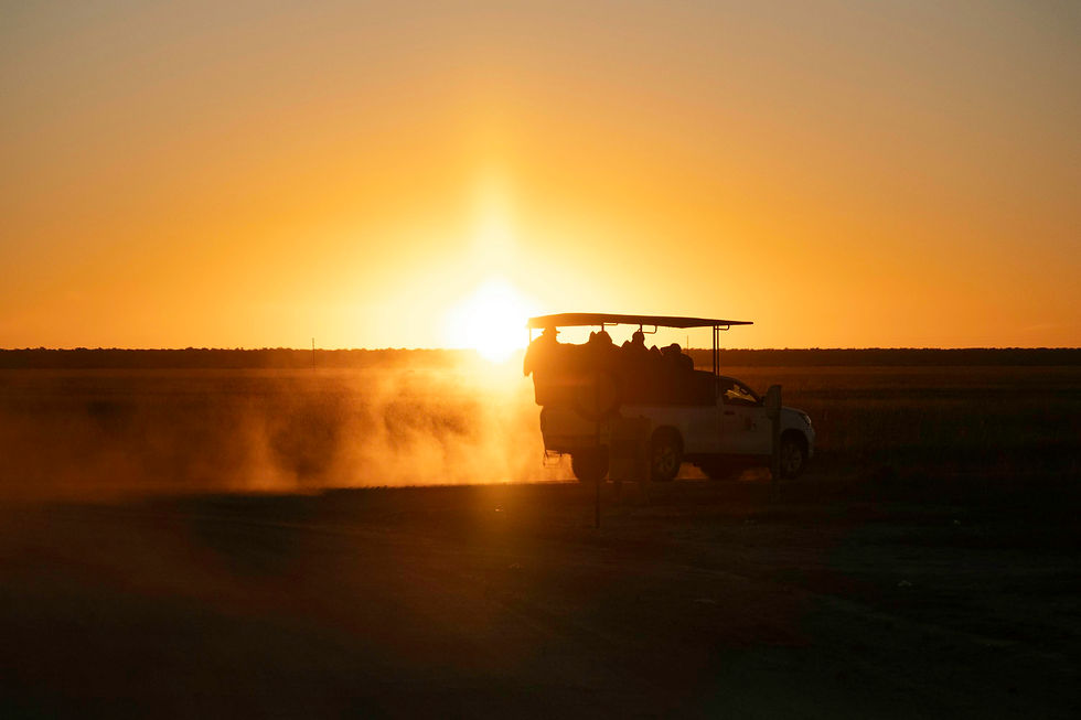 safari-vehicle-sunset-game-drive