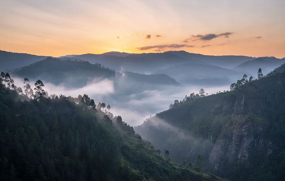uganda-mountains-safari-kibale-bwindi.jpg