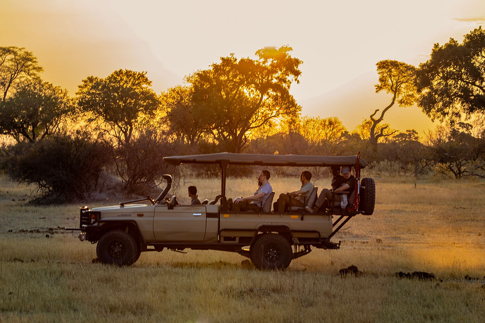 botswana-open-game-drive-vehicle-safari