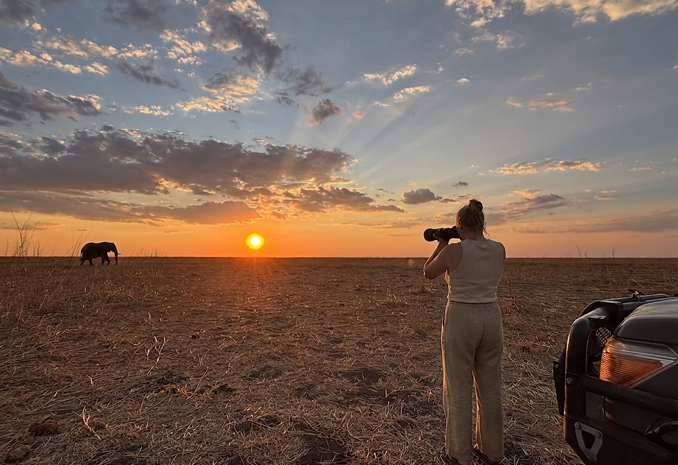 botswana-elephant-mababe-wildlife-photography