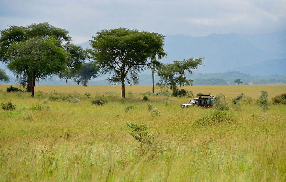 uganda-safari-open-plains-kidepo-national-park.jpg