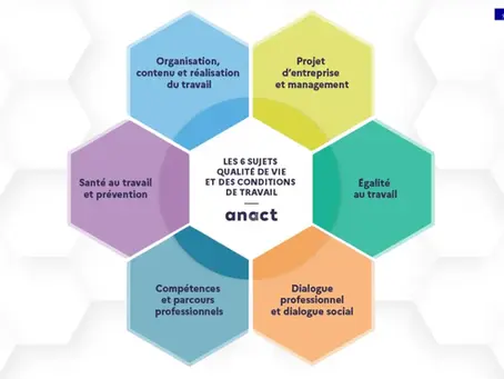les 6 sujets de la QVCT