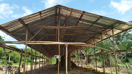 EP_Ekombo_Mai_2025_03.jpg
