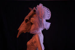 Torzo Tqila Ambiente y Moda Diseño Lisandra Ramos Fotografía Helman Avelle