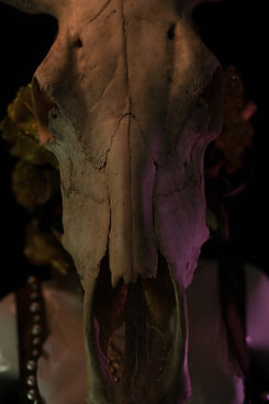 Tqila Ambiente y Moda Diseño Lisandra Ramos Fotografía Helman Avelle