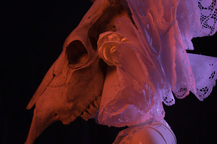 Perfil Tqila Ambiente y Moda Diseño Lisandra Ramos Fotografía Helman Avelle