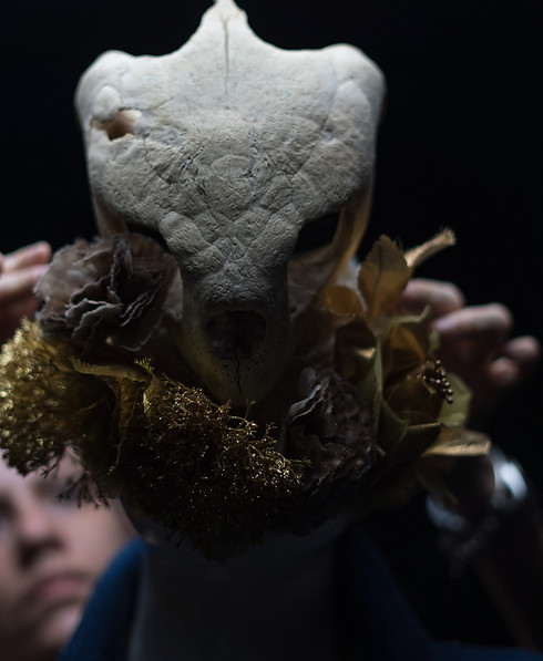 Tquila & Rawspring MakingOff Diseño Lisandra Ramos Fotografía Helman Avelle 01