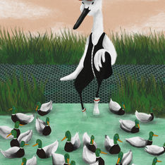 canard, conte, illustration, cindy escribano