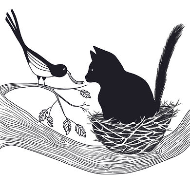 Le dîner du chat_Cindy Escribano