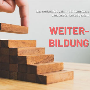 Klinischer Ansatz der Posturologie in der Praxis