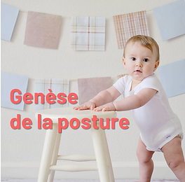 Genèse de la Posture