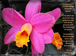Pink Flower_Chodron
