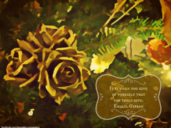 Gold Rose_Gibran