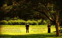 Arboretum_Van Dyke.jpg