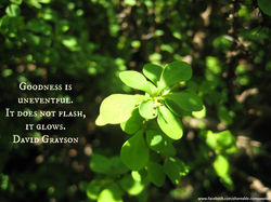 Green Leaf_Grayson.jpg