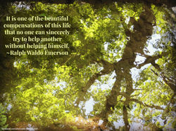 Tree Reflection_Emerson