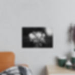 Miniaturbild: Photopaper Poster — Black & White Floral Macro Photography Print