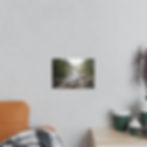 Miniaturbild: River Stream Photopaper Poster — Serene Forest Landscape Wall Art