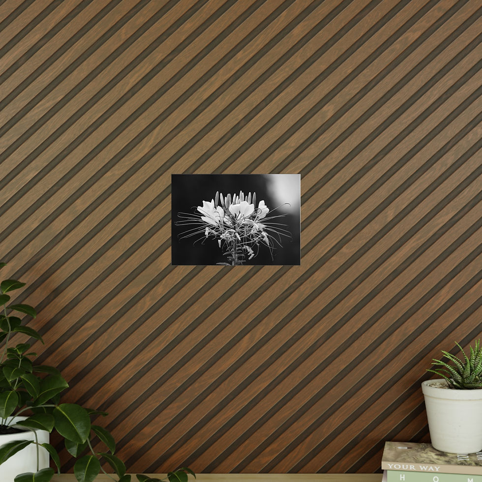 Miniaturbild: Photopaper Poster — Black & White Floral Macro Photography Print
